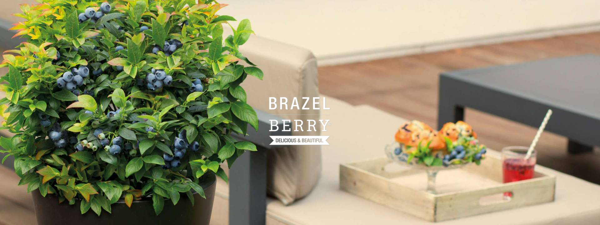 BrazelBerry®