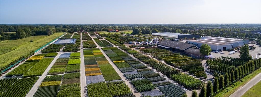 Bemiddeling