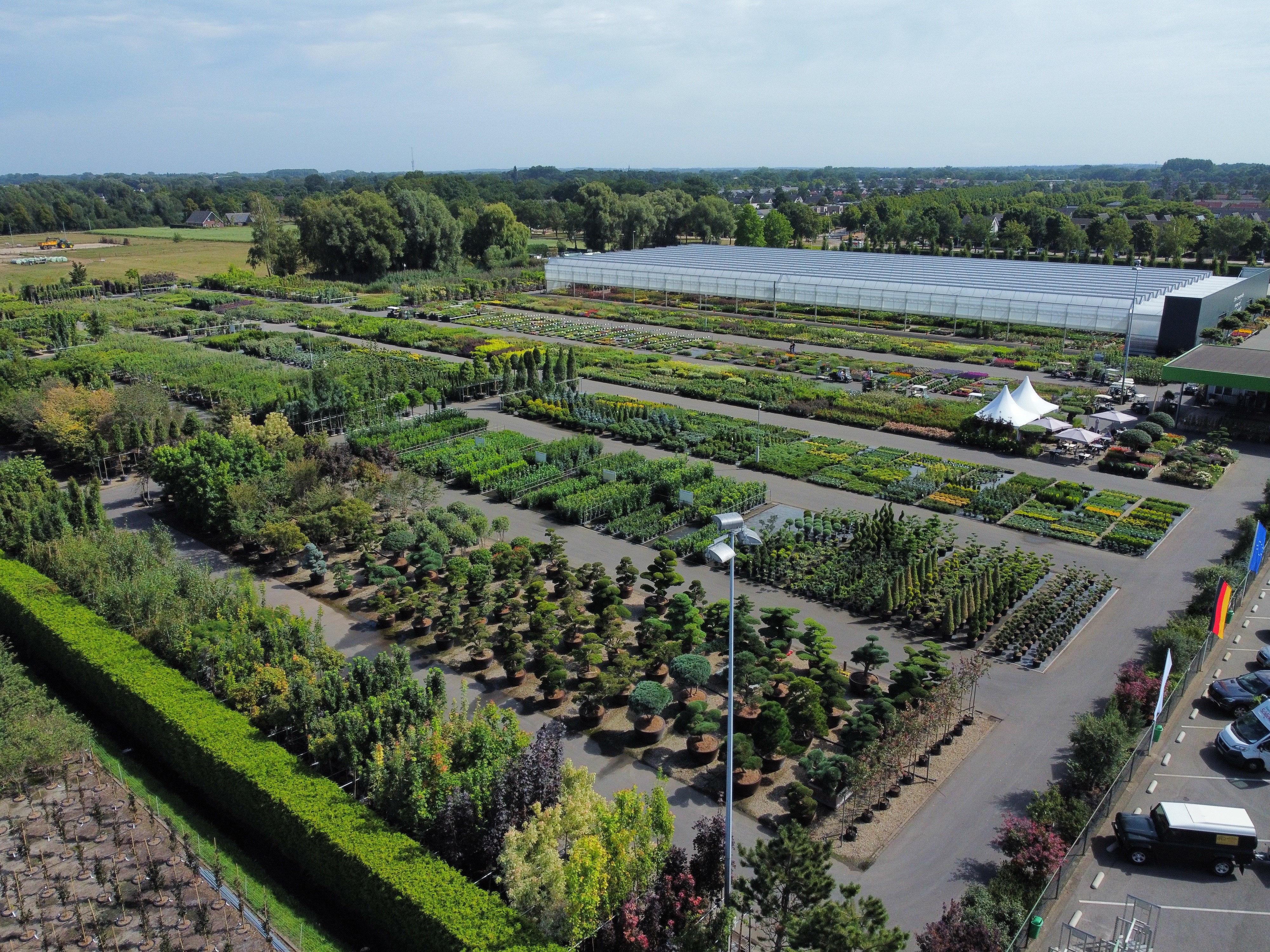 Cash & Carry - wyjątkowe miejsce na zakupy