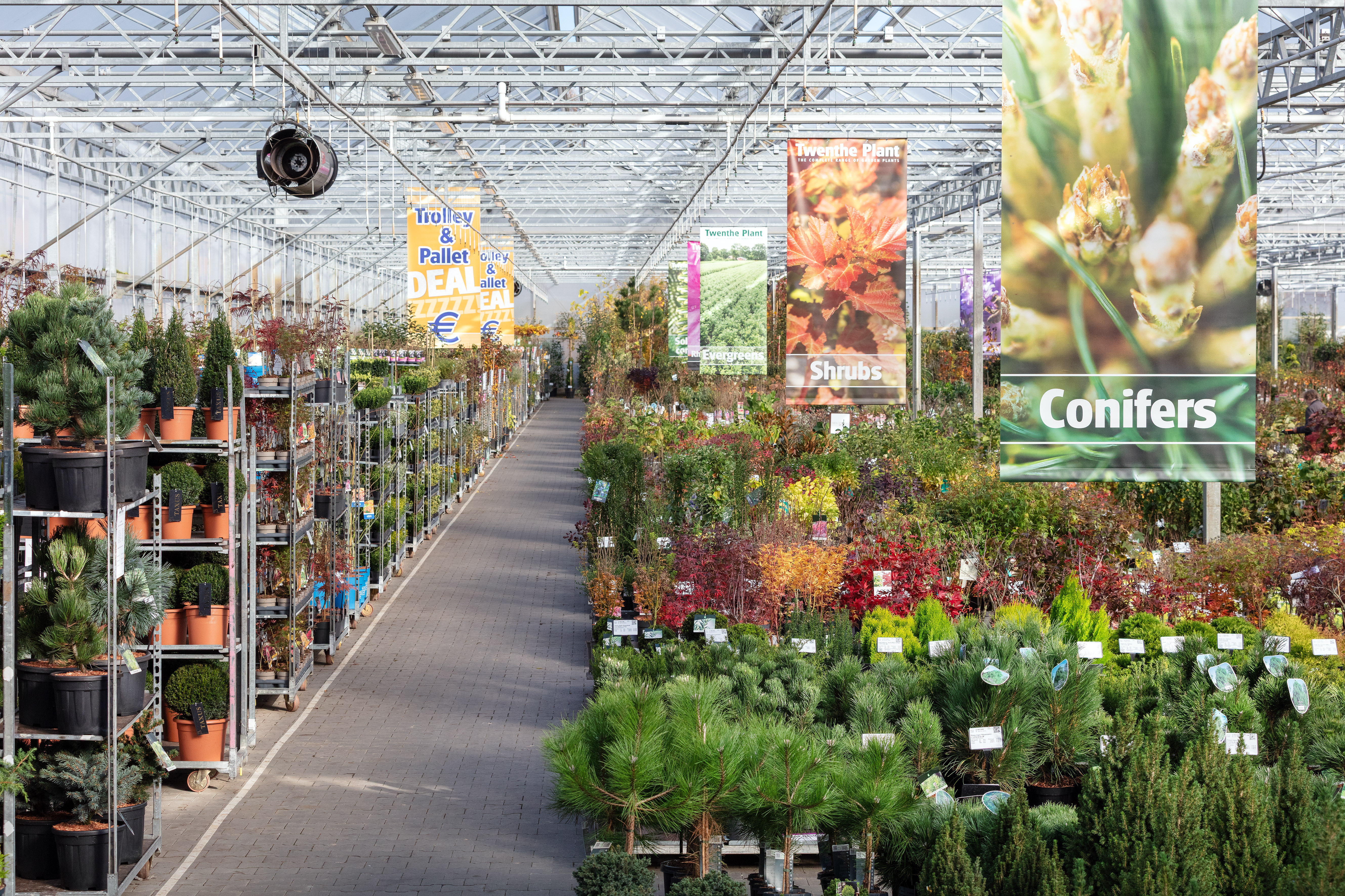 One-stop-shop für das 
komplette Gartenpflanzen-Sortiment